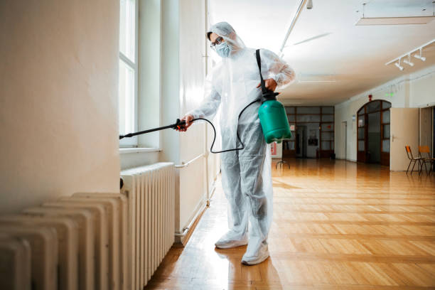 Reliable Bridgewater, VA Pest Control Solutions